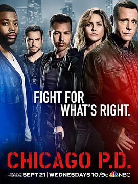 芝加哥警署第四季 第11集
