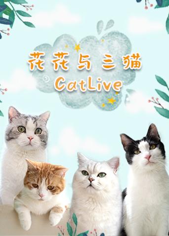 花花与三猫catlive 20190924期