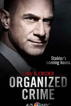 法律与秩序组织犯罪第一季 第8集