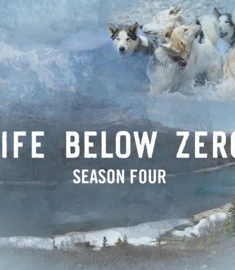 零度以下的生活第四季(全集)