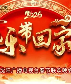 2026把乐带回家沈视春晚