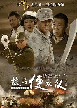 敌后便衣队传奇(全集)