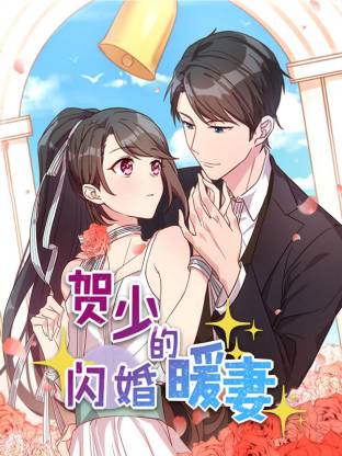 贺少的闪婚暖妻(全集)